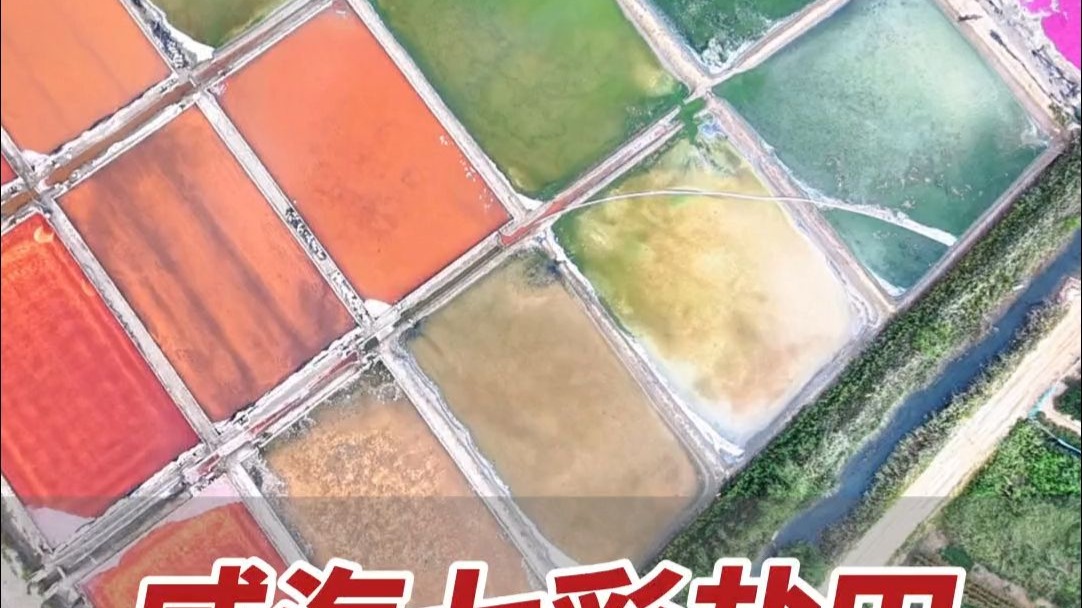 8月24日，山东威海。航拍威海七彩盐田，阳光下闪闪发光，好似上帝