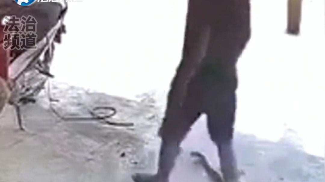 男子单脚跳起 躲过背后毒蛇的突然攻击 网友：太吓人了！（K）