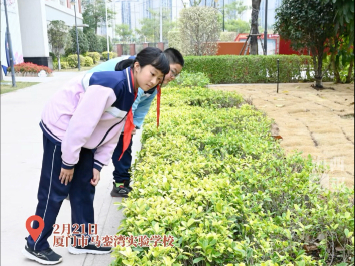 当价值20多万元的耳蜗丢失后，厦门校园里出现了感动一幕……