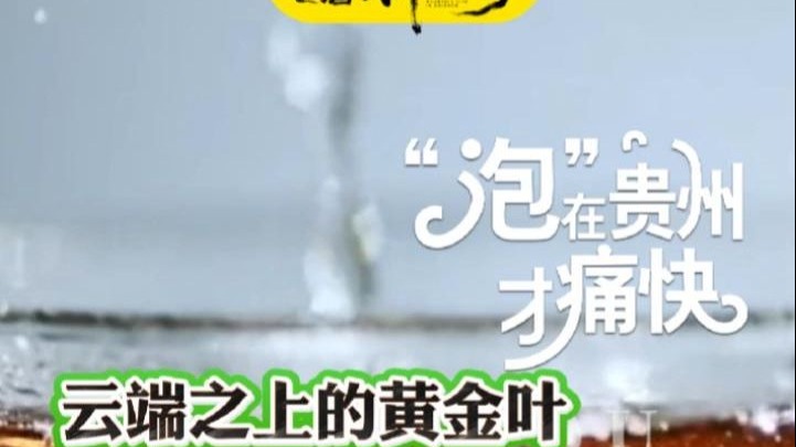 贵州红茶，云端之上的黄金叶，干净黔茶香飘世界