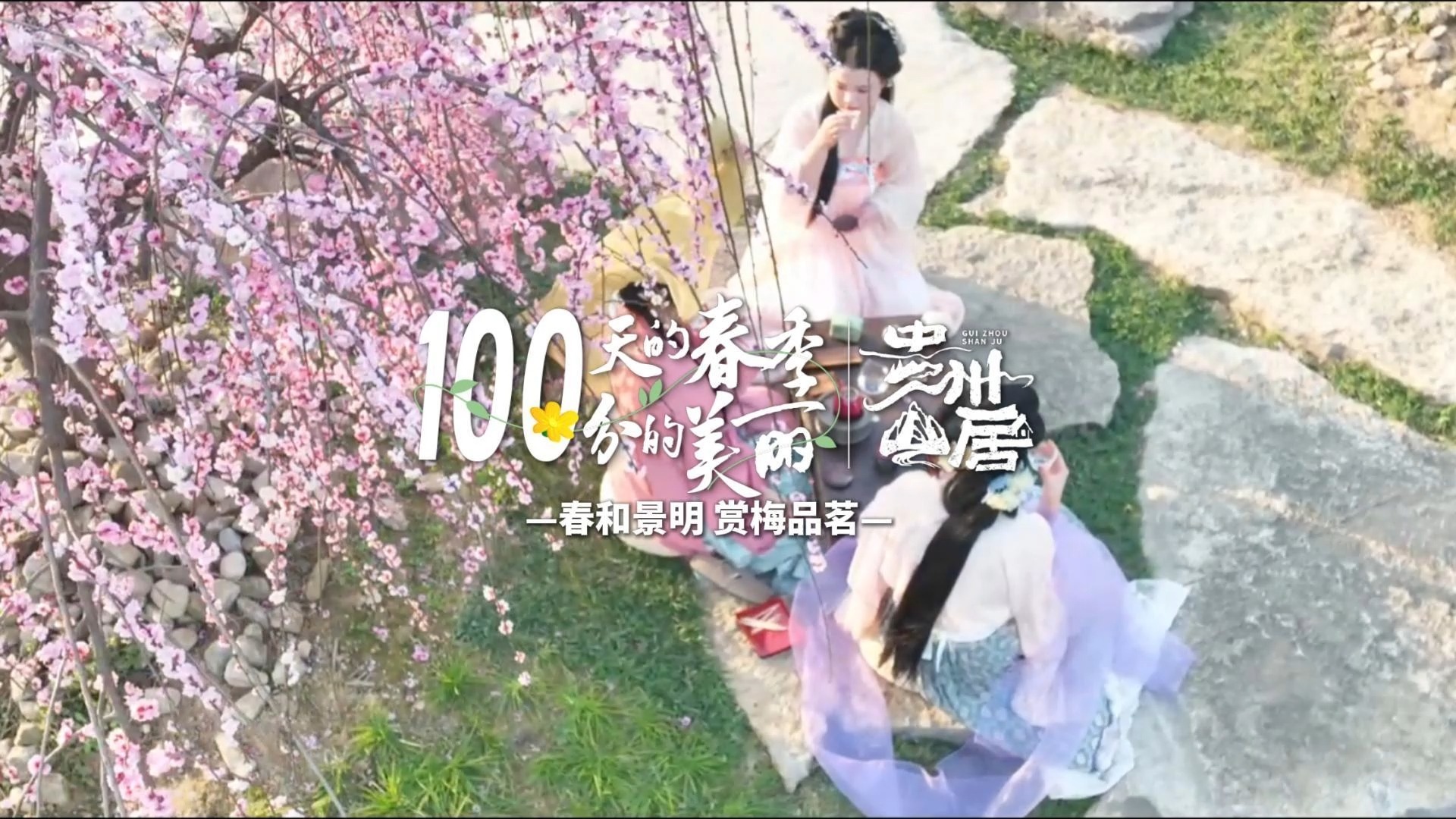 贵州山居 | 一百天的春季，一百分的美丽！春和景明，赏梅品茗。（来