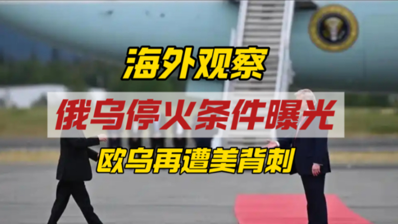 俄乌停火条件被曝光：美俄实控主动权，欧洲乌克兰最终上餐桌