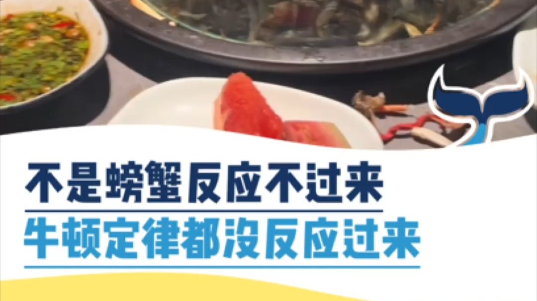 不是螃蟹反应不过来，牛顿定律都没反应过来