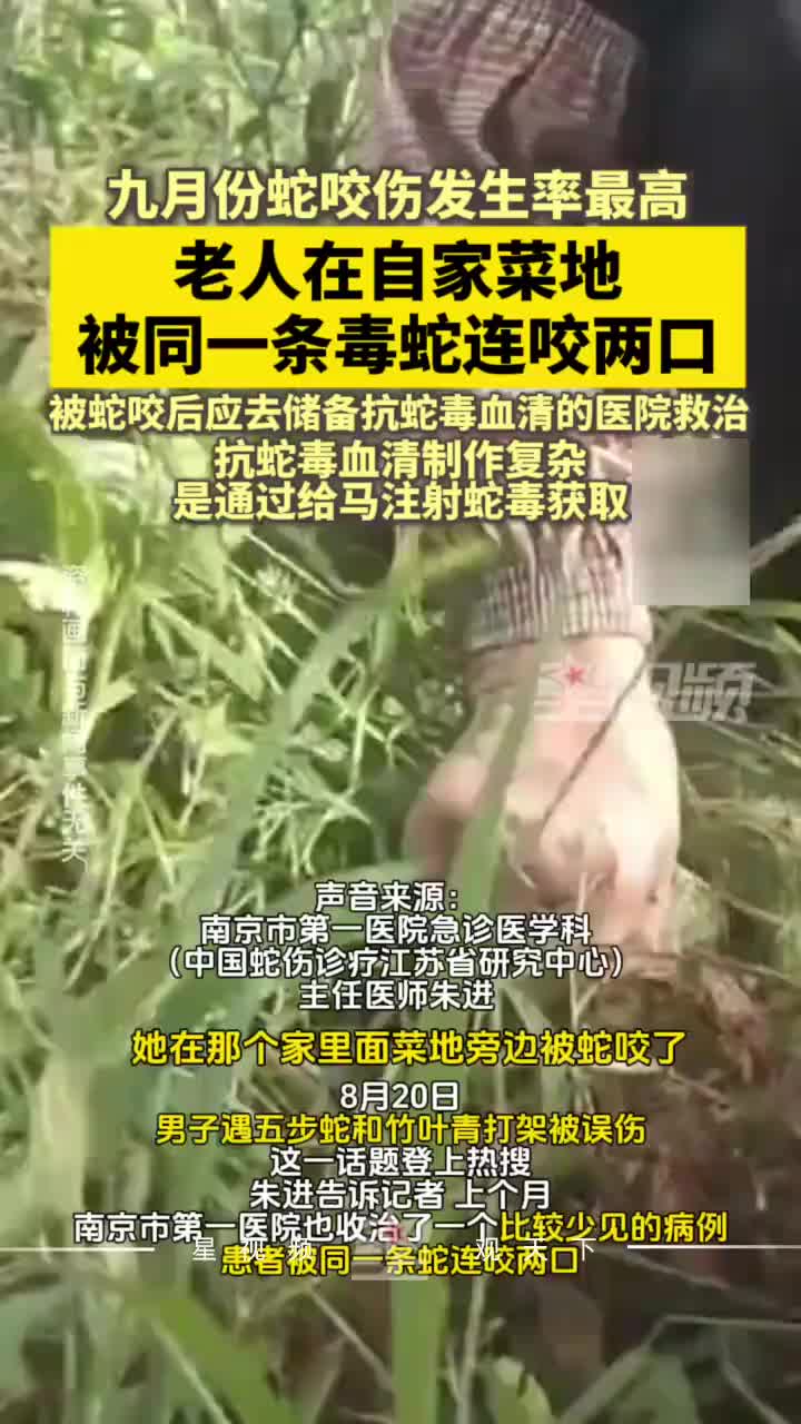 老人在菜地被同一条蛇连咬两口：被咬伤后人没跑远，又被咬了一口
