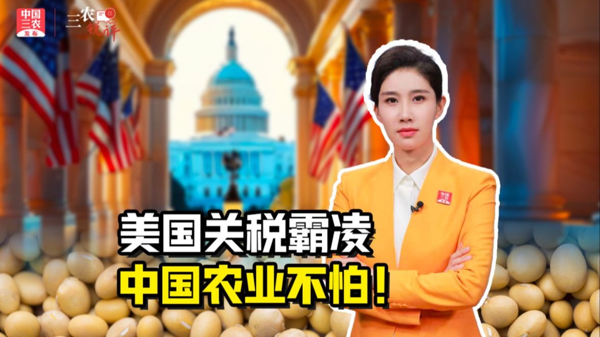 三农锐评丨美国关税霸凌 中国农业不怕！