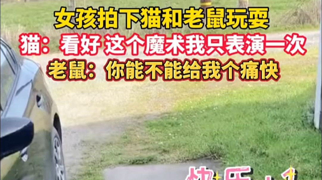 女孩拍下猫和老鼠玩耍，猫：看好，这个魔术我只表演一次！