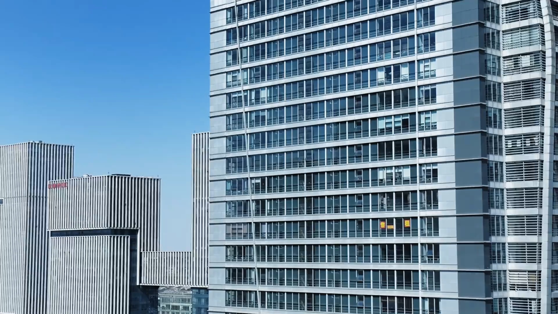 东营经济技术开发区：春色正中分，莫负好时光