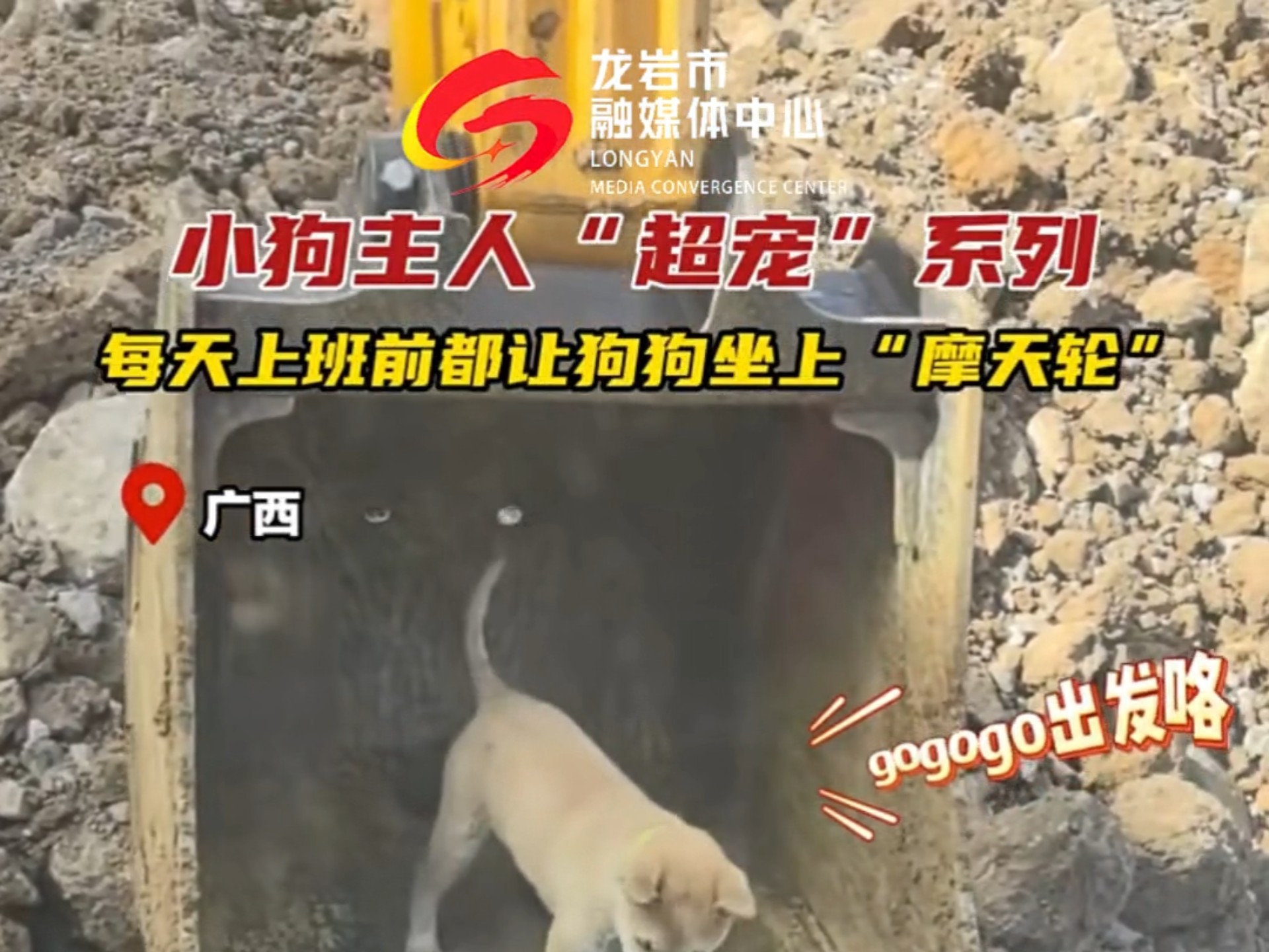 小狗主人“超宠”系列，每天上班前都让狗狗坐上“摩天轮”