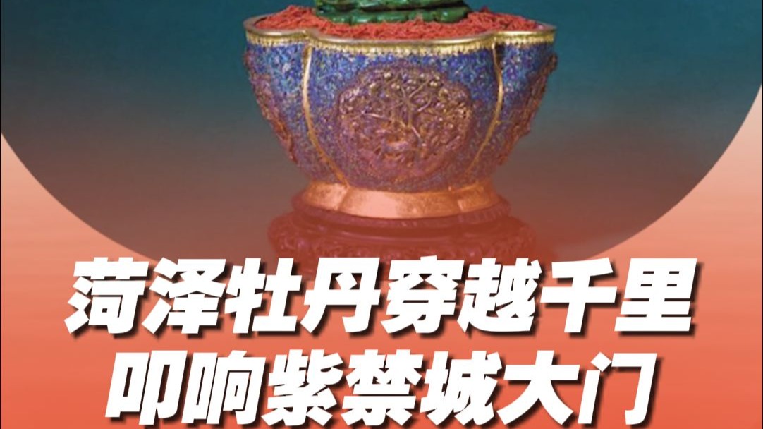 故宫博物院单霁翔点赞菏泽牡丹！