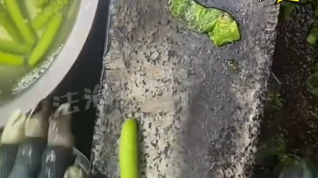 工人将虫子轻轻挤压 肉和皮瞬间分离