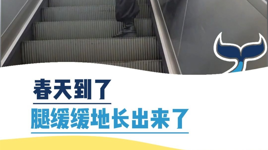 春天到了，腿缓缓长出来了