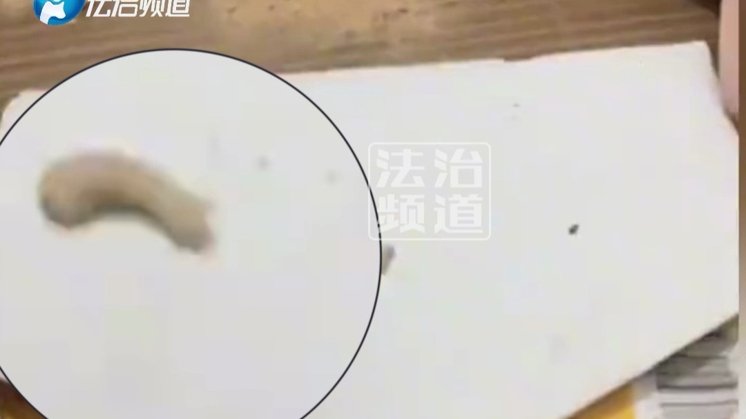 床里天天嘎吱嘎吱响 男子把床掏空后...