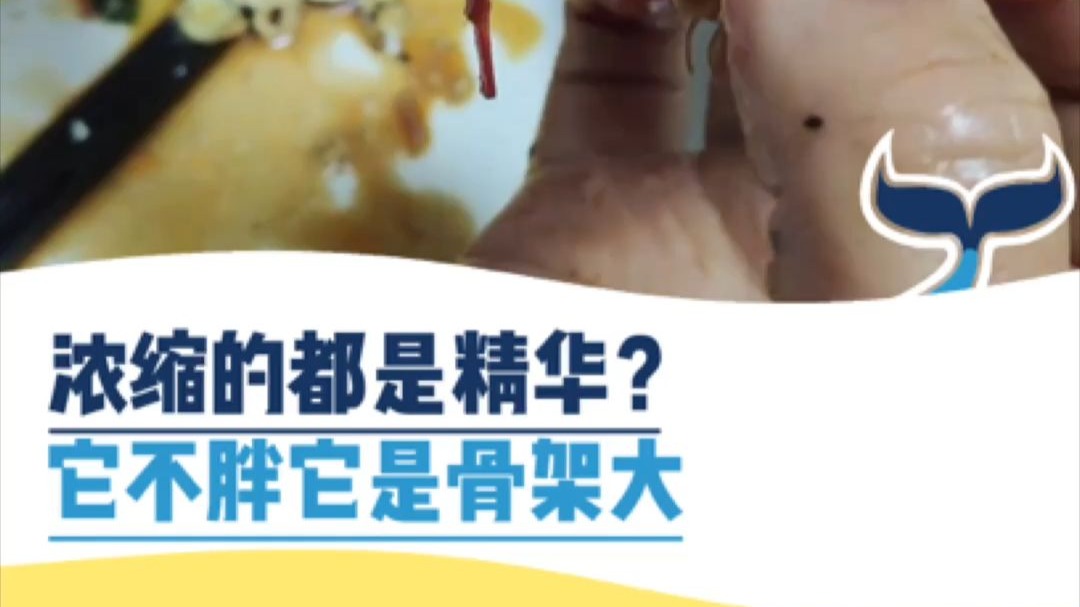 浓缩的都是精华？它不胖它是骨架大