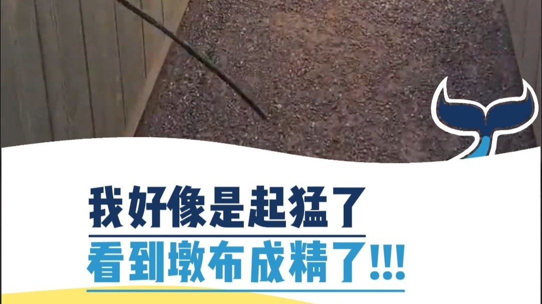我好像是起猛了，看到墩布成精了！！！