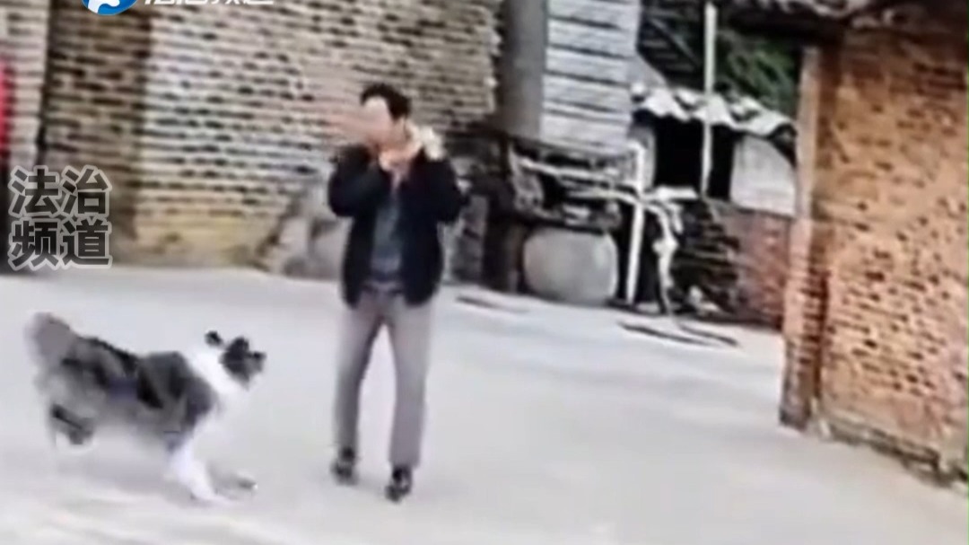 狗子扑咬男子 男子放出两只马犬 将恶犬制服