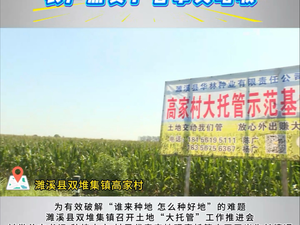 “大托管”破解种地难题 农户点赞：省事又增收