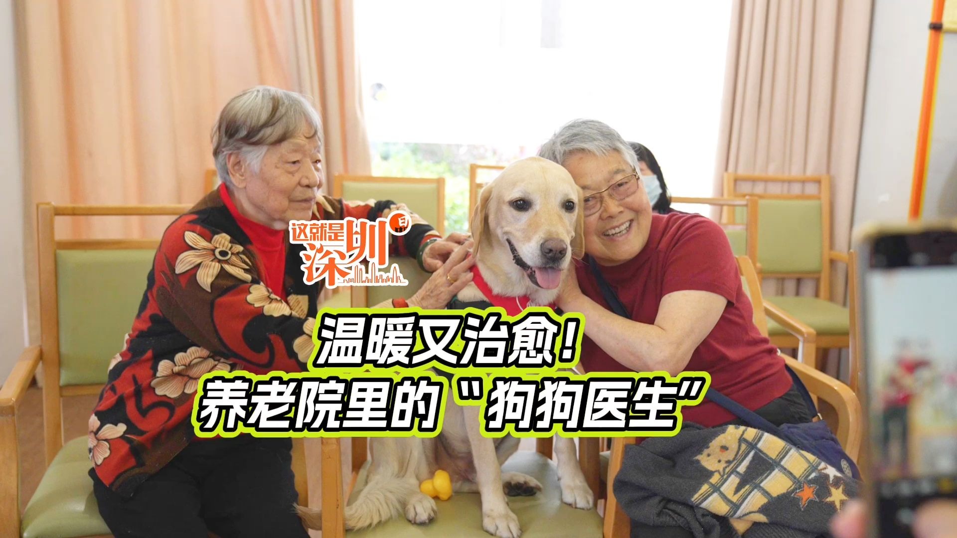 温暖又治愈！养老院里的“狗狗医生”