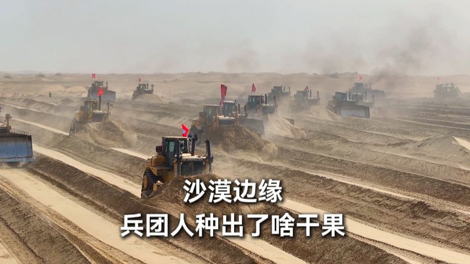 谁说沙漠只能有风沙？看兵团人如何“点沙成金”，种出满园干果宝