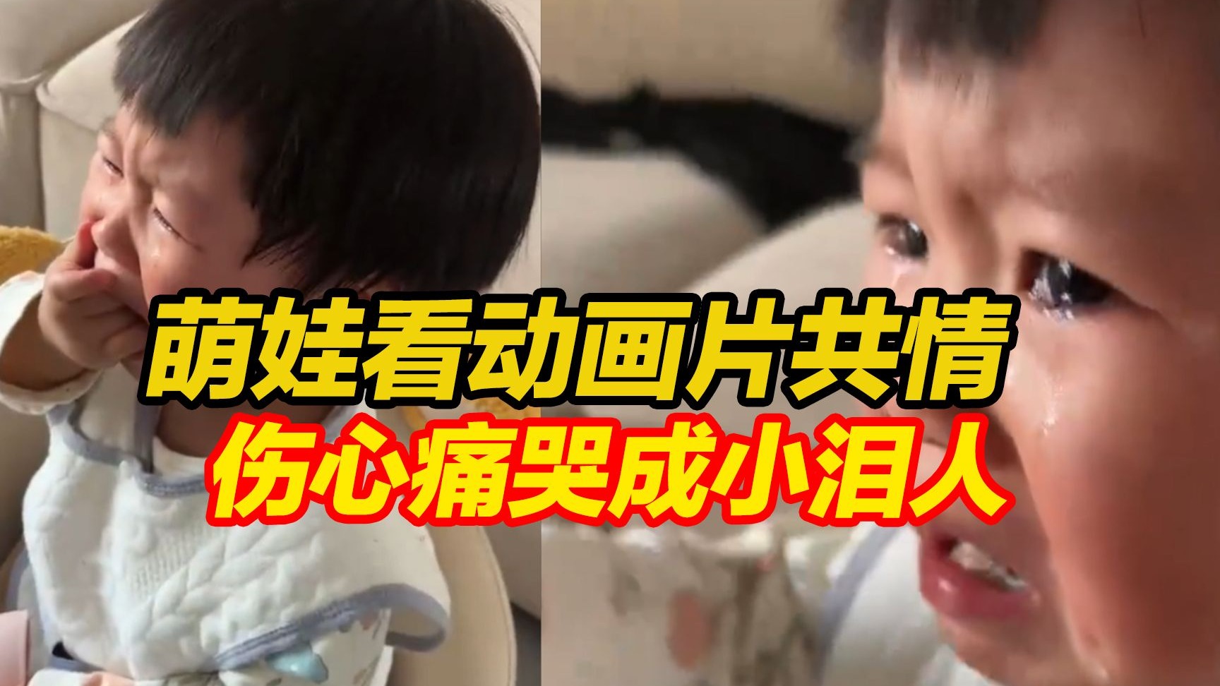 共情力太强！萌娃看到动画片里小鸭子走丢找不到妈妈，伤心痛哭成