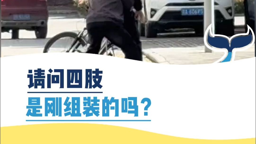 请问四肢是刚组装的吗？
