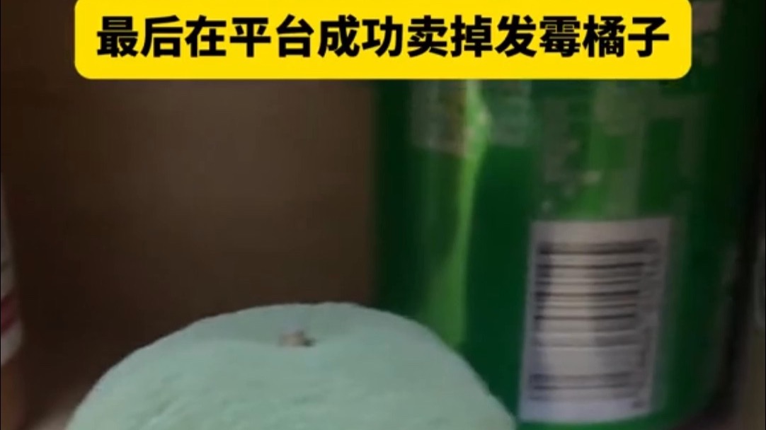 女子家中橘子坏掉长出“抹茶”菌，最后在平台成功卖掉发霉橘子