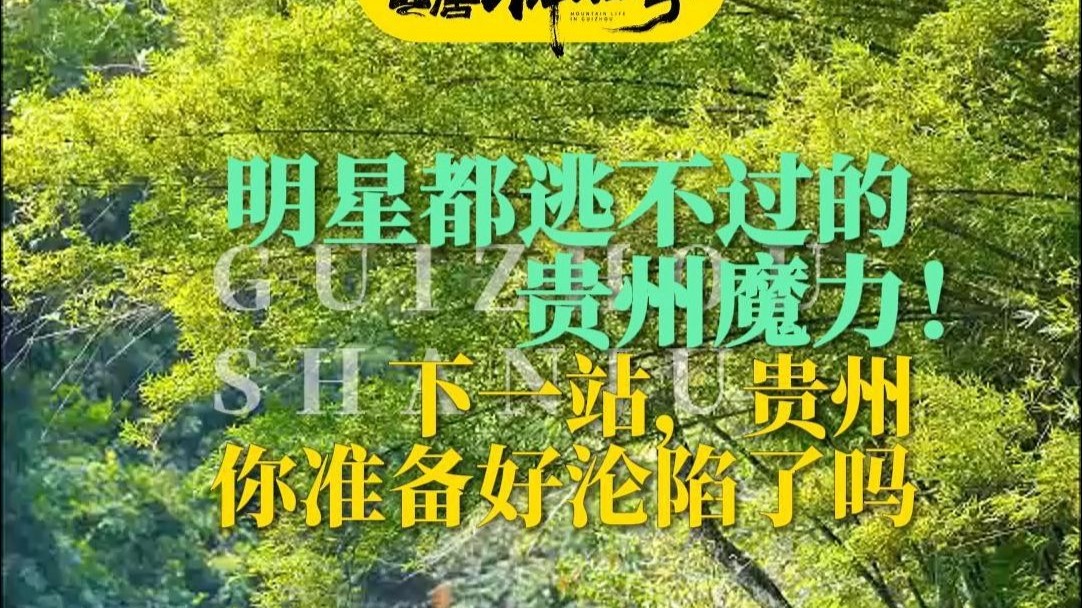 明星都逃不过的贵州魔力！下一站，贵州，你准备好沦陷了吗？