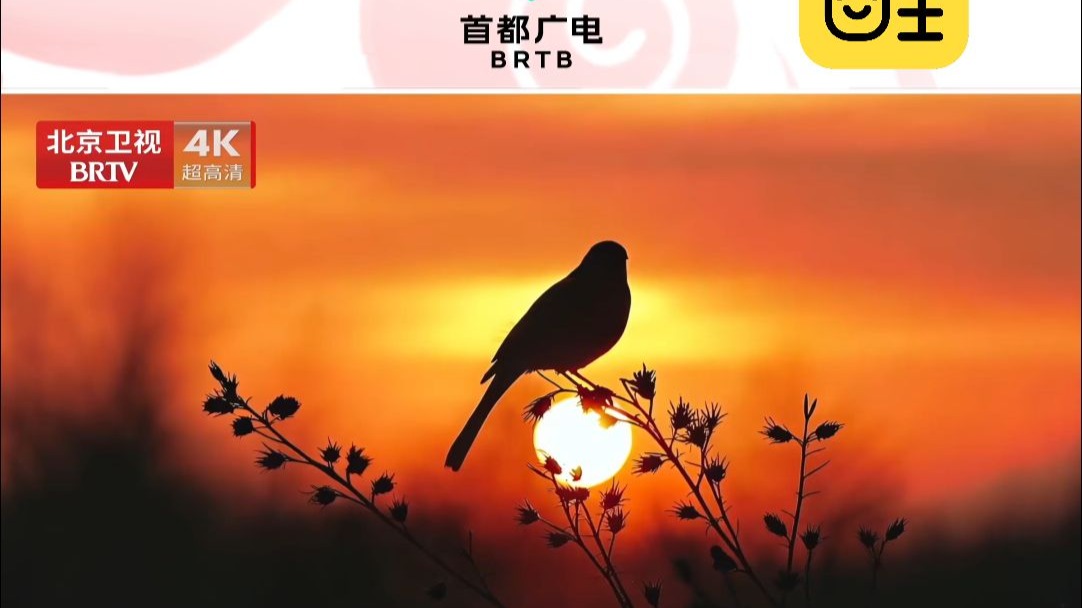 全国首个省级卫视4K超高清频道正式开播