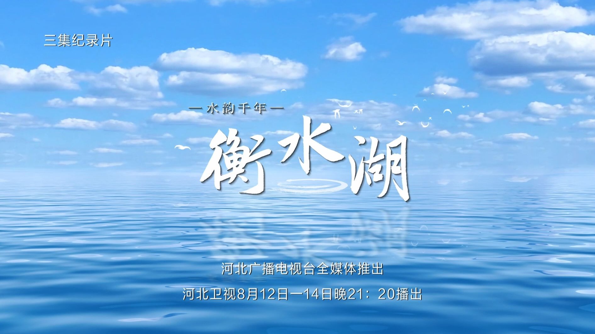 纪录片《水韵千年·衡水湖》即将上映 三集生态纪录片 《水韵