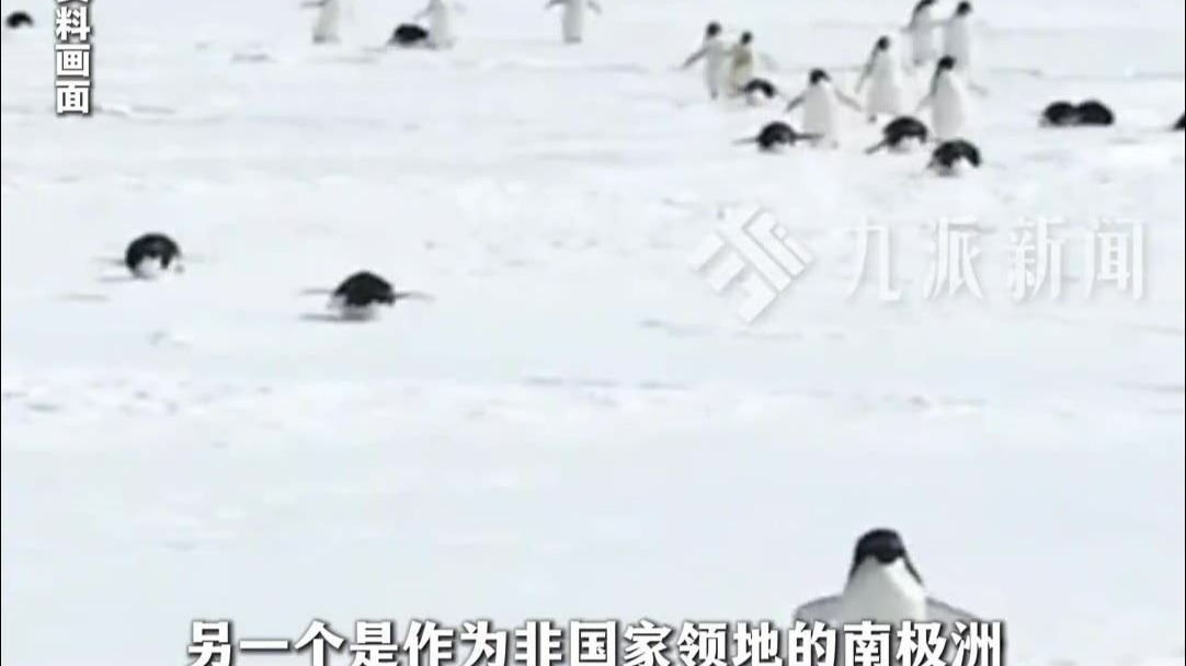 冰岛境内首次发现蚊子,全球最后一个“无蚊国”沦陷 冰岛境内首次发现蚊子,全球最后一个“无蚊国”沦陷
