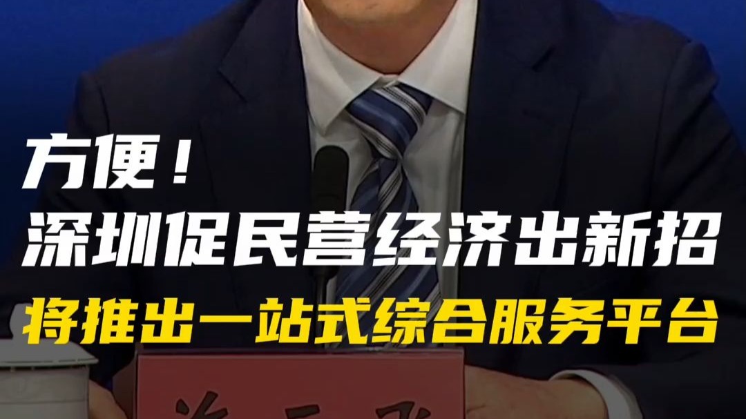 方便！深圳促民营经济出新招，将推出一站式综合服务平台