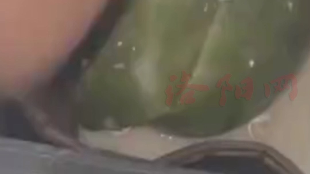 西瓜被遗忘在车内一星期，车主开门差点被熏晕，车主：“一星期了还