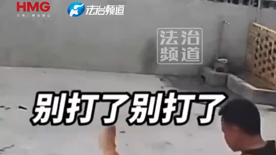 狗子打架主人拦不住 于是“摇”来了一位重量级狗