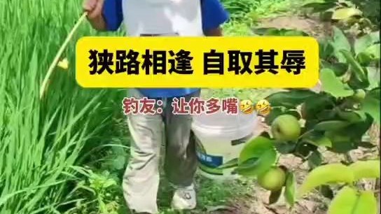 狭路相逢，自取其辱