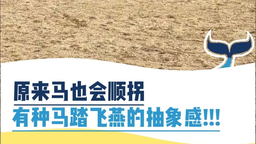 有种马踏飞燕的抽象感