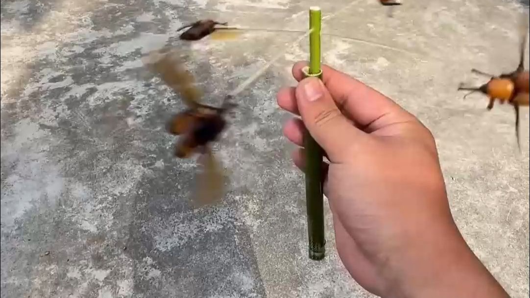 男子自制“生物能源”风扇 网友：竹象虫 油炸之后老好吃了