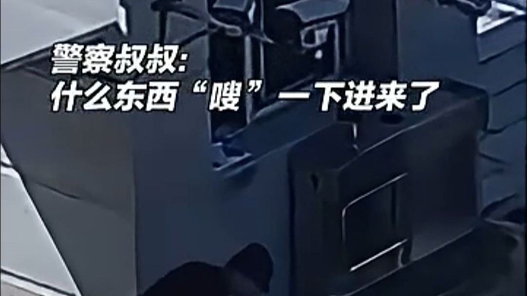 民警  “祝你们出警平安归来！”小女孩给警察“投喂”西瓜，随后