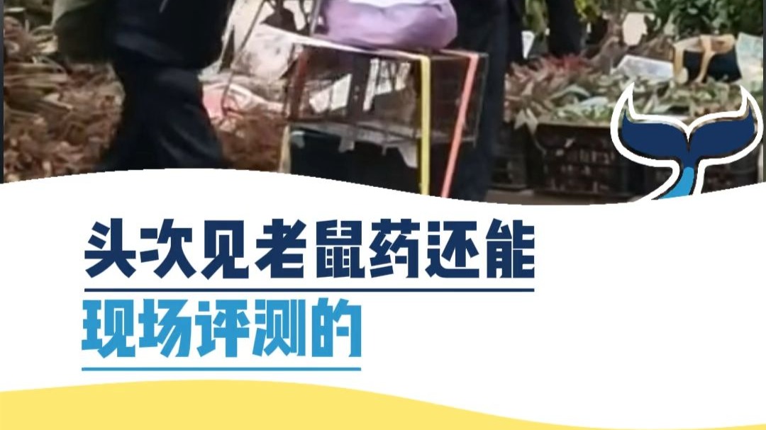 头次见老鼠药还能现场评测的