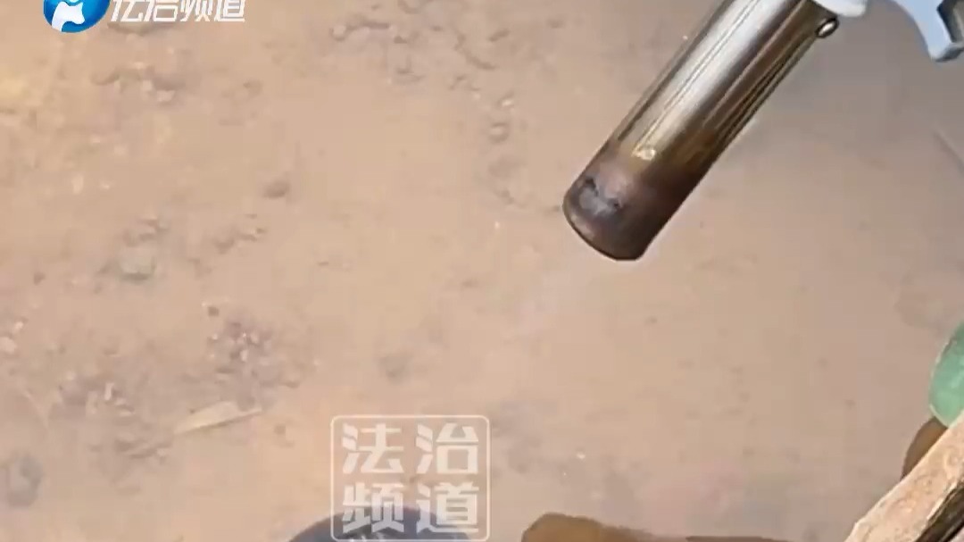 男子用喷火枪消灭福寿螺 壳都被喷白了 (钧)