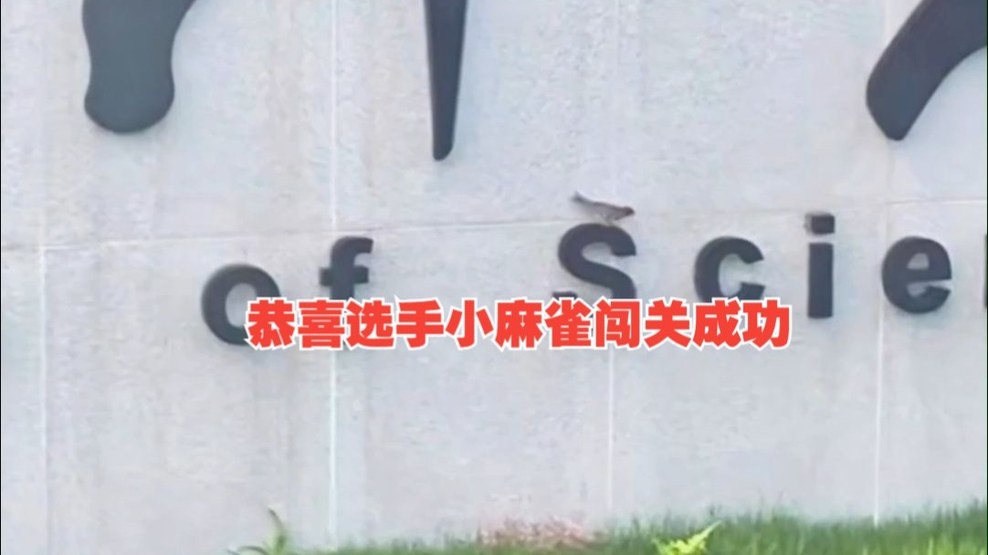 恭喜选手小麻雀闯关成功，获得大冰箱一台！