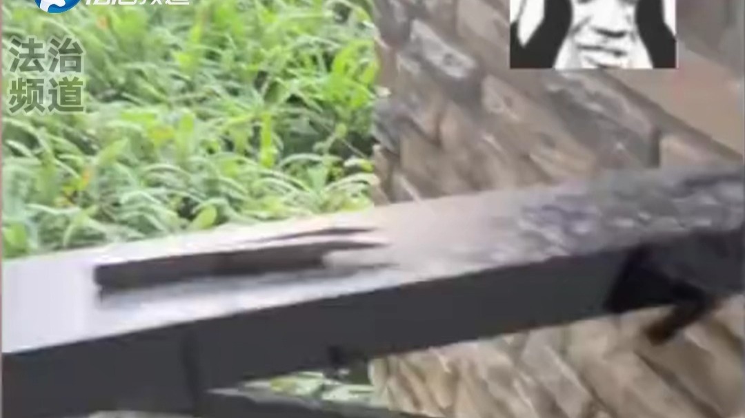 成精了！女子出门忘带钥匙 结果猫咪竟成功从屋内开门（K）