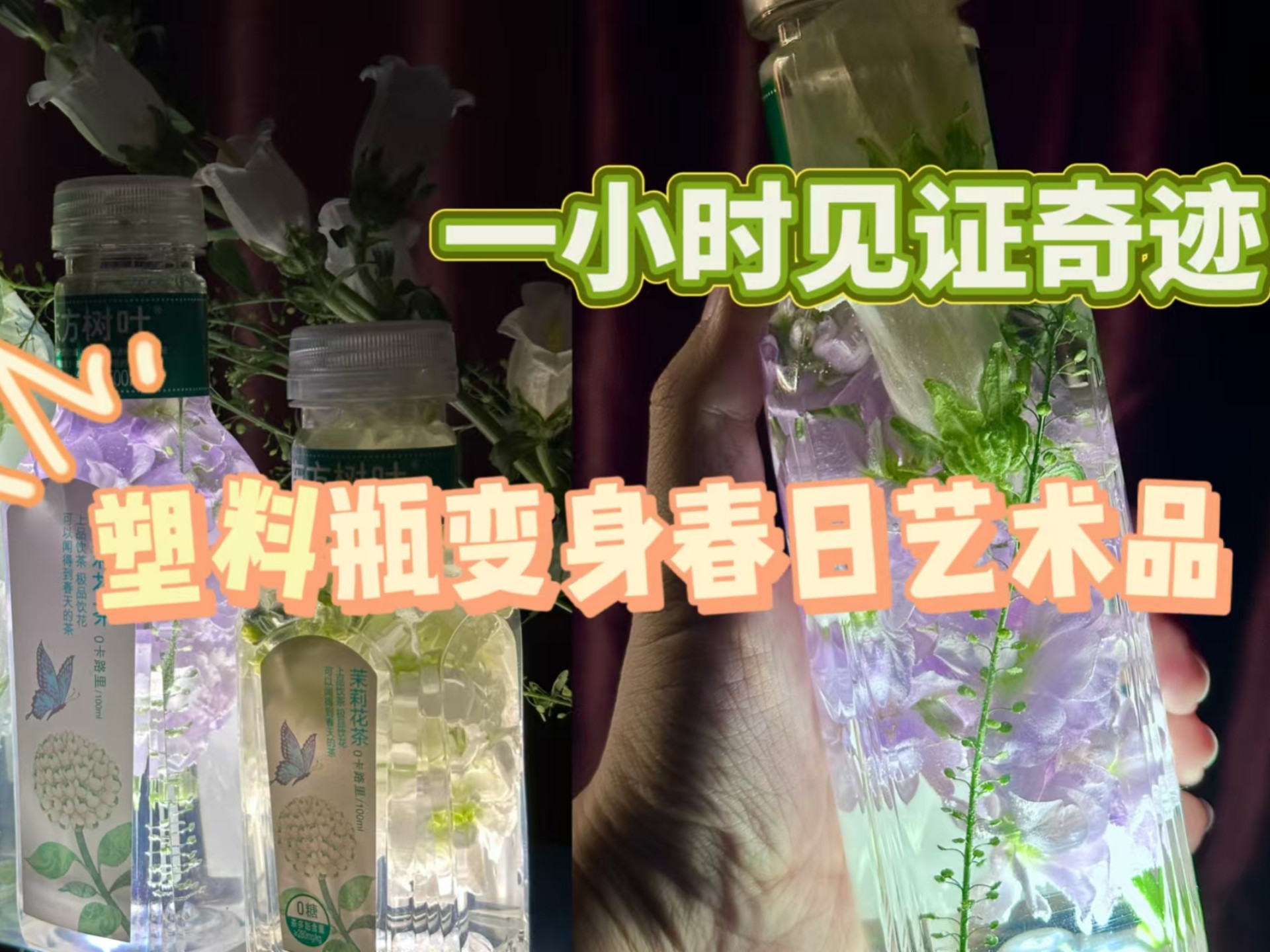 从废弃塑料瓶到春日艺术品 男子连喝三瓶饮料后用一小时获得