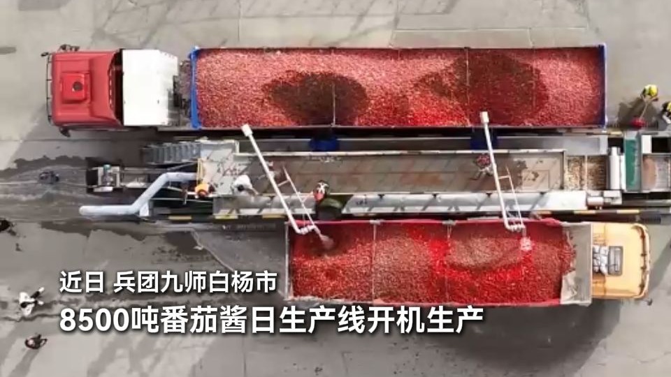 近日，兵团九师白杨市，8500吨番茄酱日生产线开机生产。