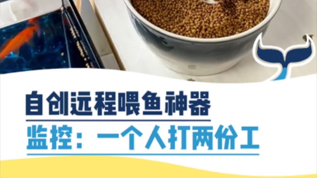 监控：一个人打两份工
