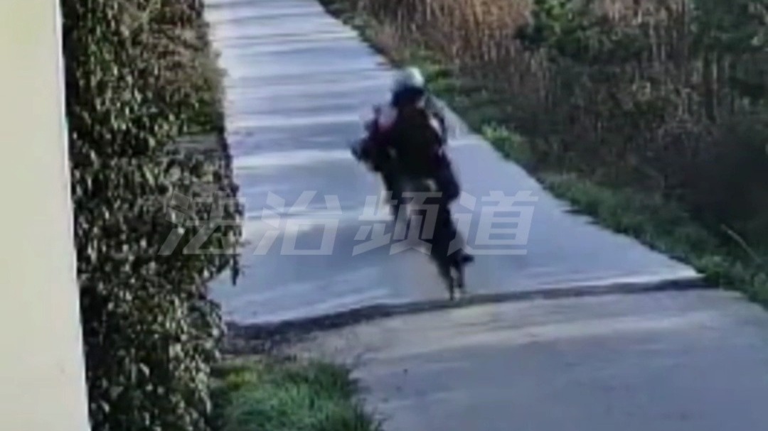 邻居骑车压到狗狗尾巴 狗狗“报仇”紧追不放 主人呵斥后躺地