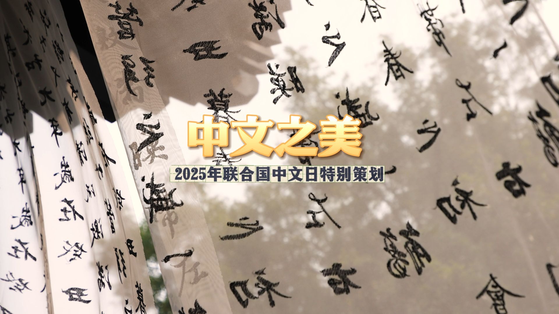 中文之美 惊艳千年