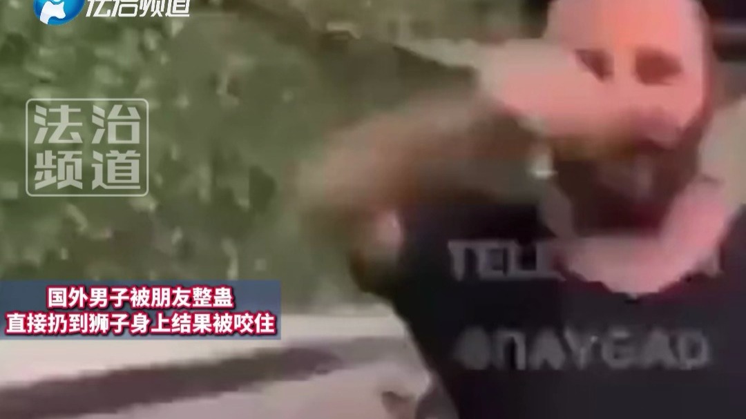 国外男子被朋友整蛊 直接扔到狮子身上结果被咬住