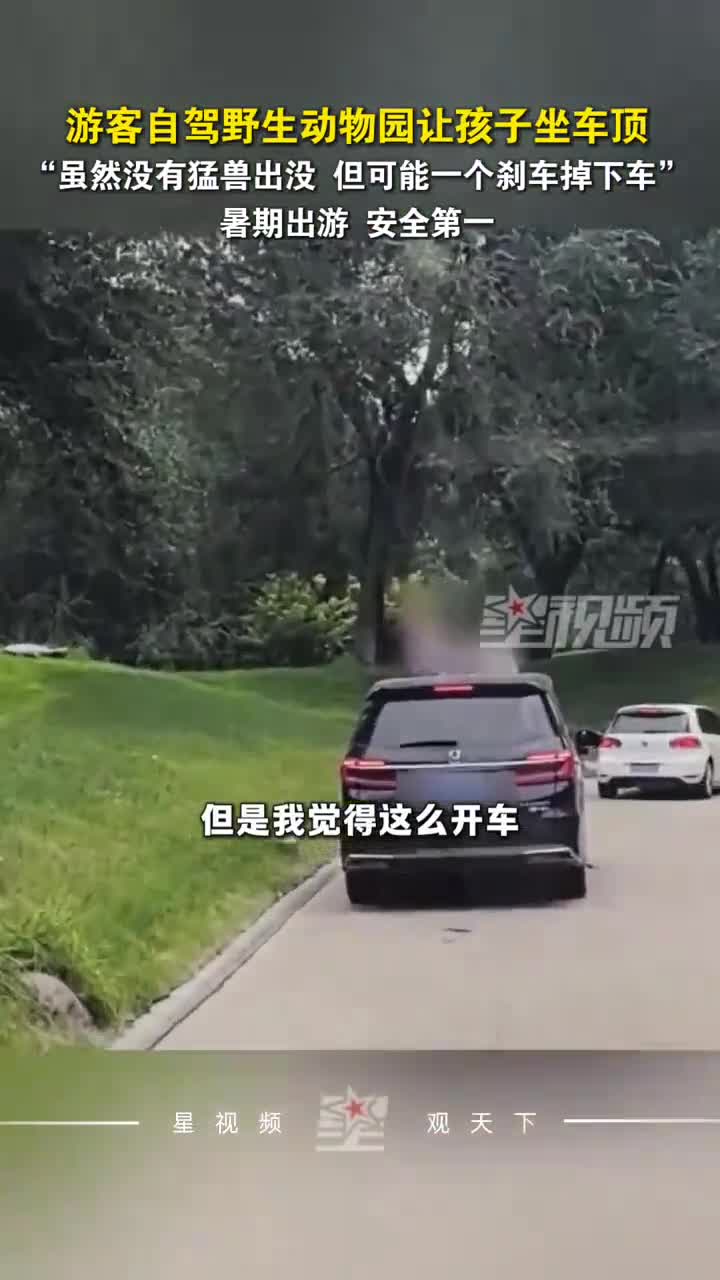 野生动物园内，一小车车顶坐着2个小朋友，后车司机看后直呼危险