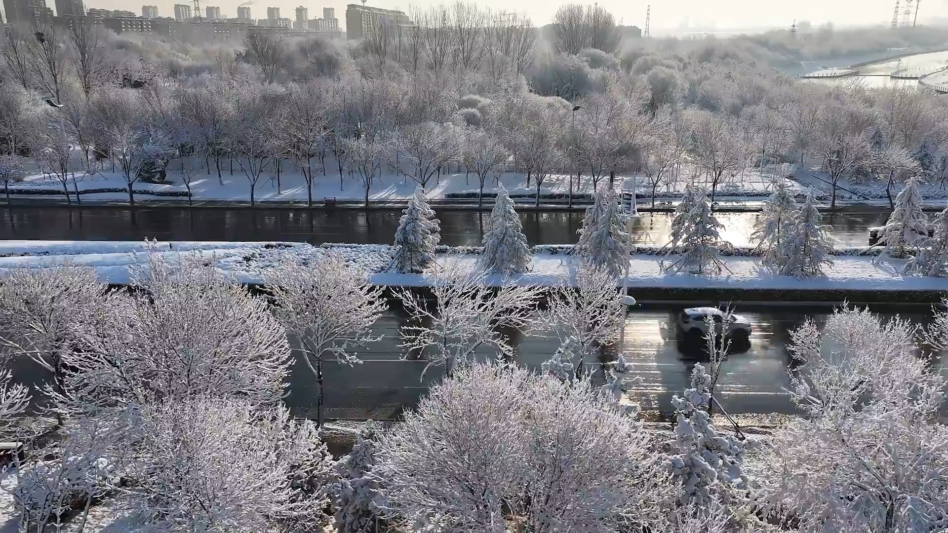 东营市垦利区：春雪润沃土