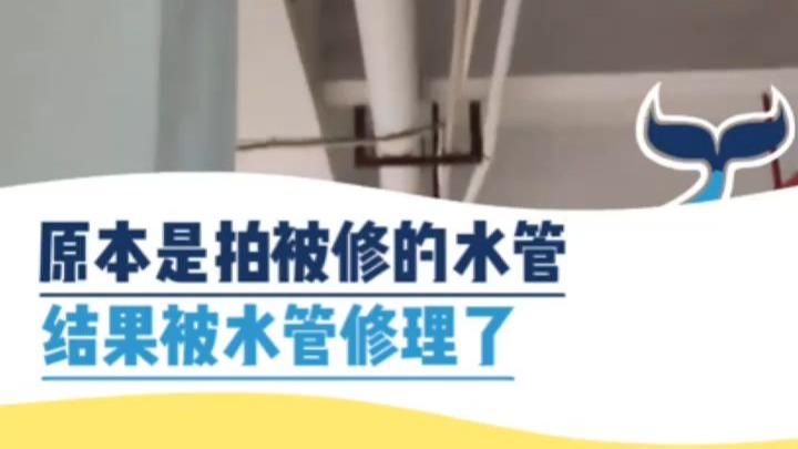 原本是拍被修的水管，结果被水管修理了