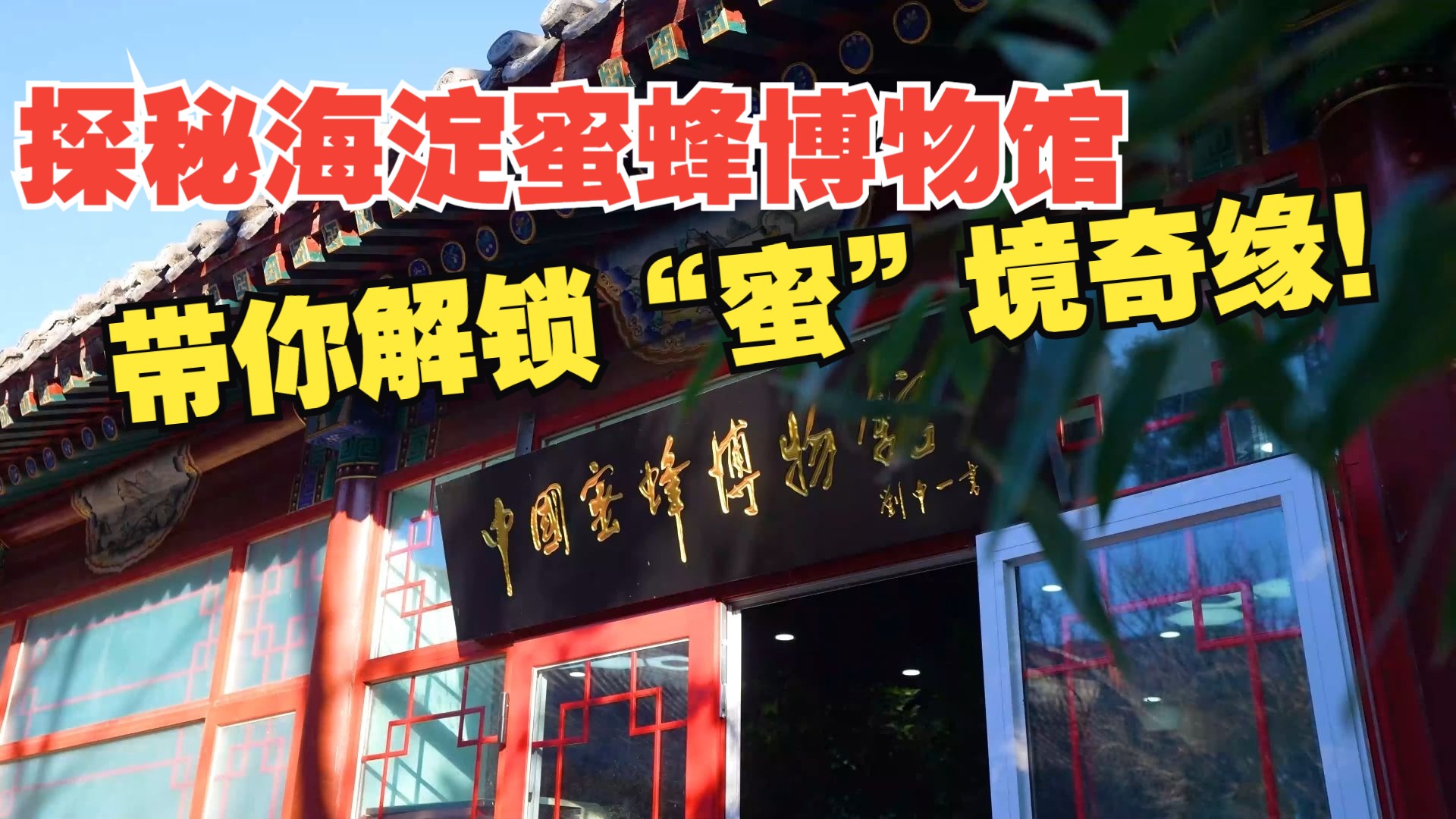 甜蜜暴击！探秘海淀蜜蜂博物馆，带你解锁“蜜”境奇缘！